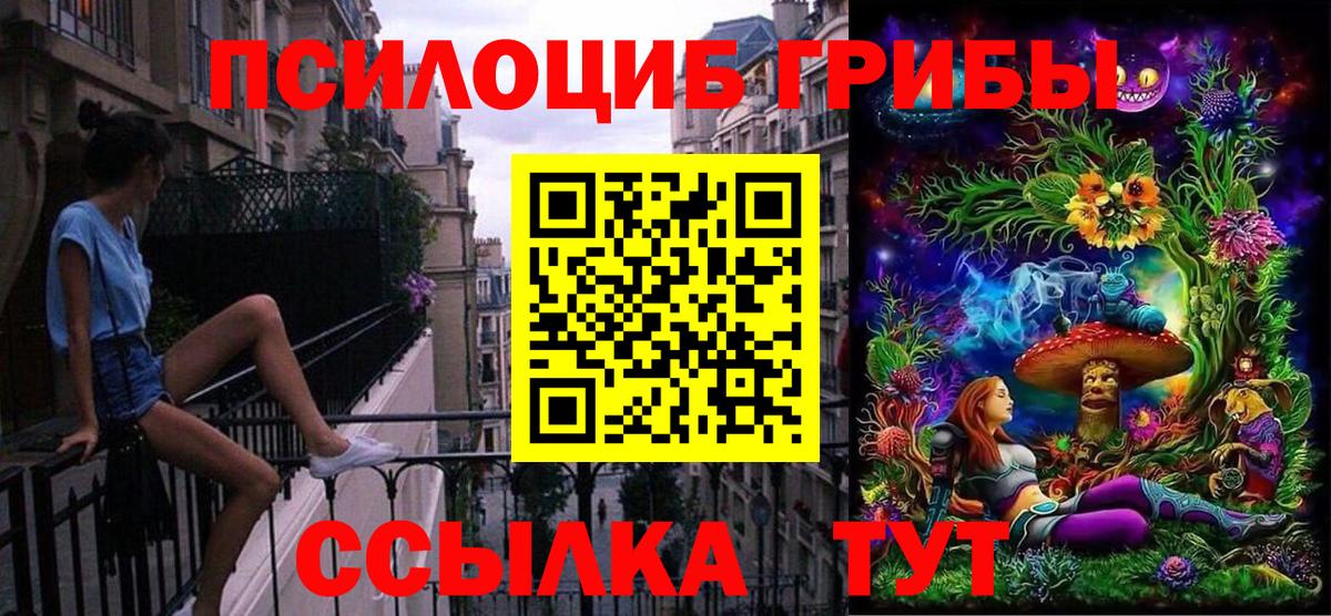 Псилоцибиновые грибы MAGIC MUSHROOMS Вятские Поляны