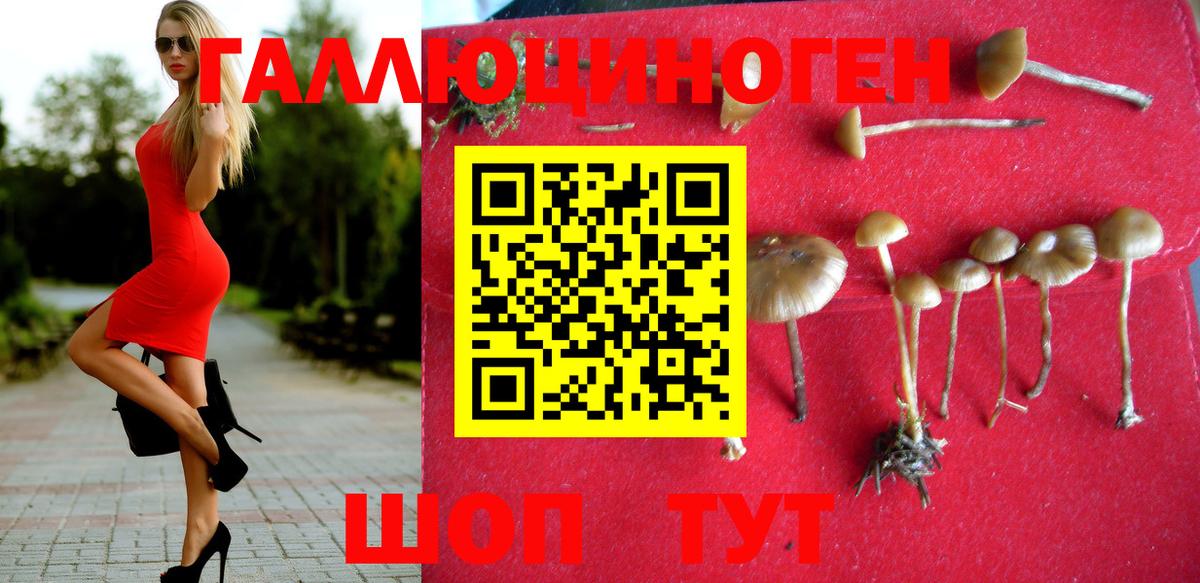 наркота  Вход с VPN  Вятские Поляны  Галлюциногенные грибы MAGIC MUSHROOMS  Галлюциногенные грибы Magic Shrooms 
