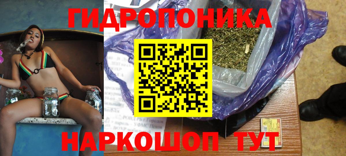 Шишки марихуана сатива Вятские Поляны